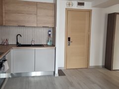 Berceni, Vitan Barzesti